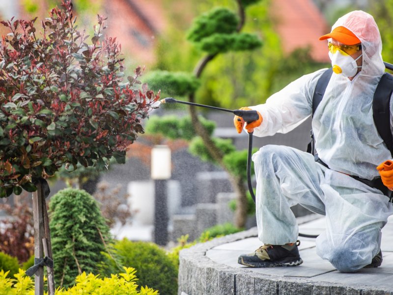 Kaynaklar Haşere İlaçlama